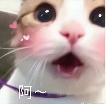 吨吨吨！这8款汽水我还能再喝亿瓶