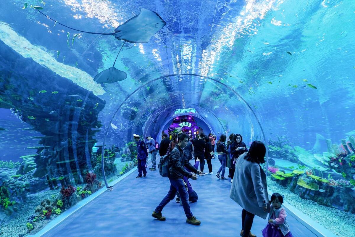 上海金山十大旅游景点,上海十大好玩的地方排名