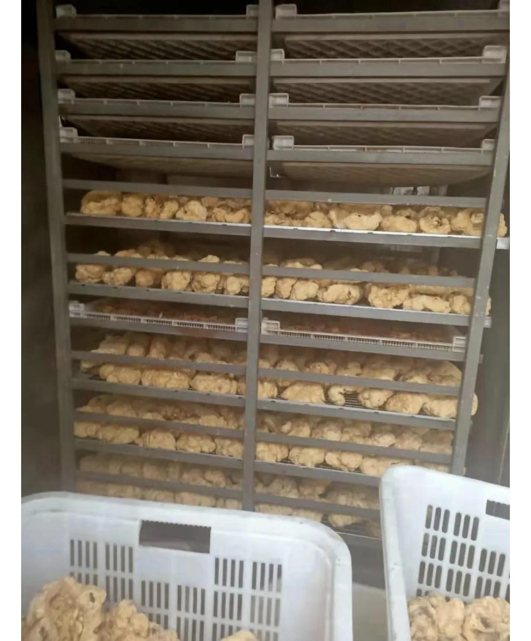 胎盘对人吃了有益吗,人体胎盘能吃吗有什么作用