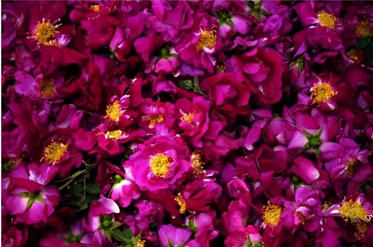 去甘肃旅游最值得去的十大景点 (甘肃16个最值得去的旅游景点)