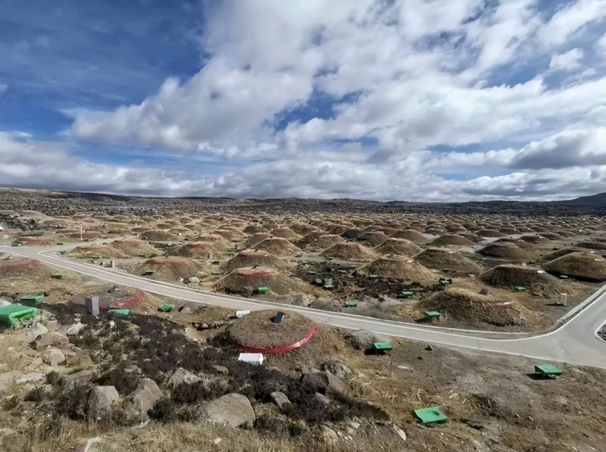 高山上的猎人,高山上的鸟类