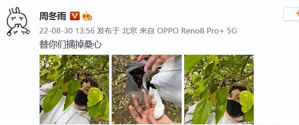 周冬雨刘昊然马思纯杜江,周冬雨井柏然罗晋