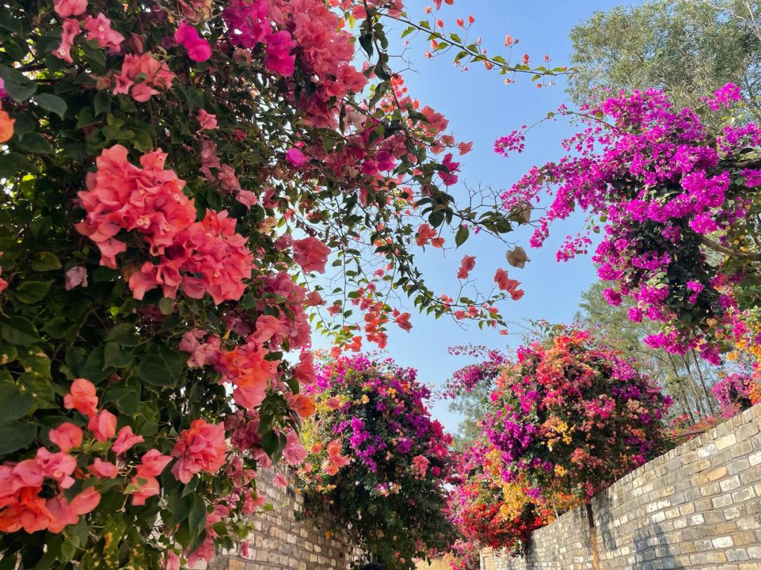 萧条仕路风雨人生——杜甫