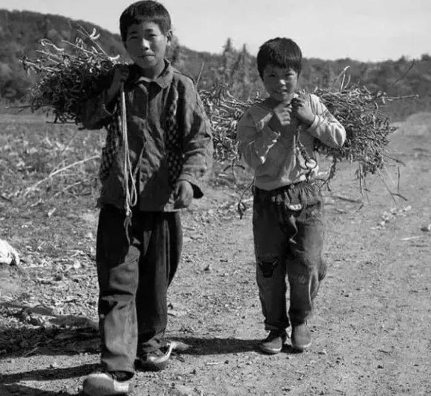 槟榔大王之死,槟榔大王之死因