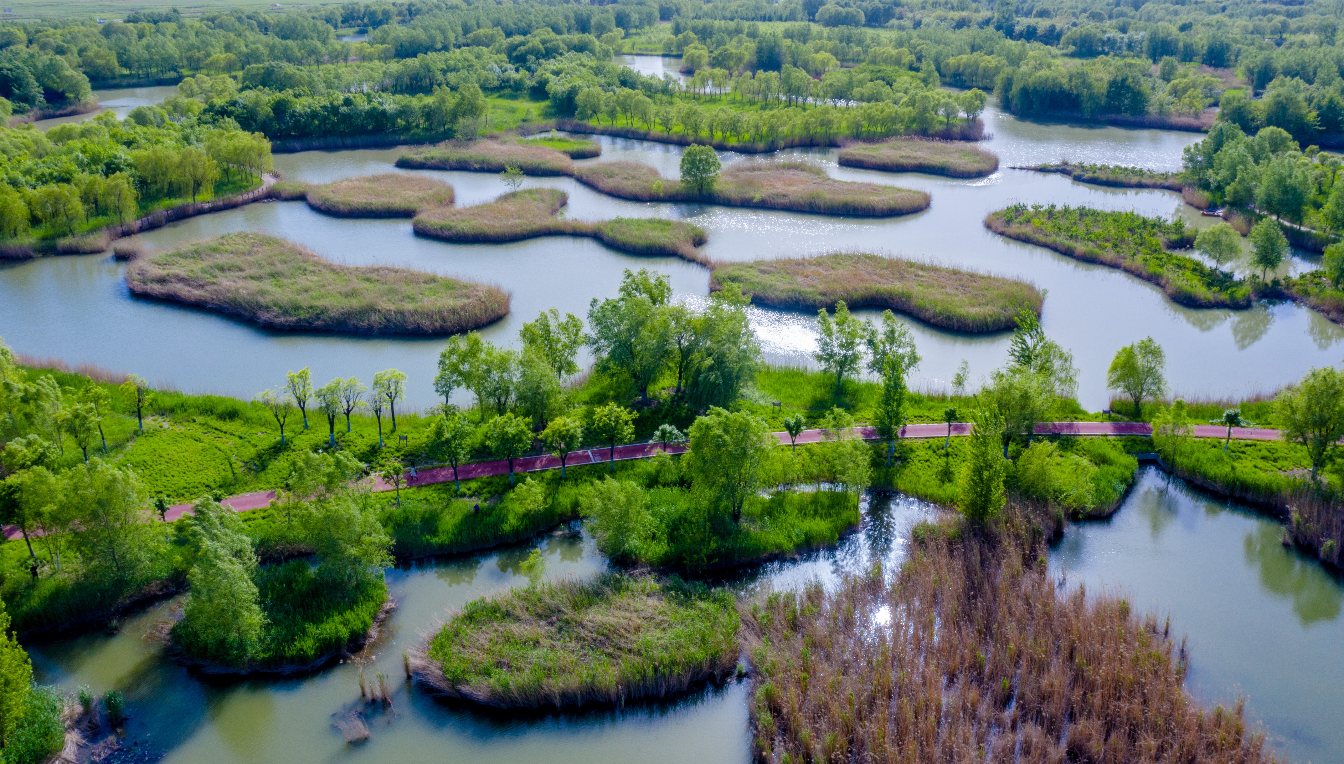 济南西部湿地公园旅游攻略,济南春游的好去处湿地公园