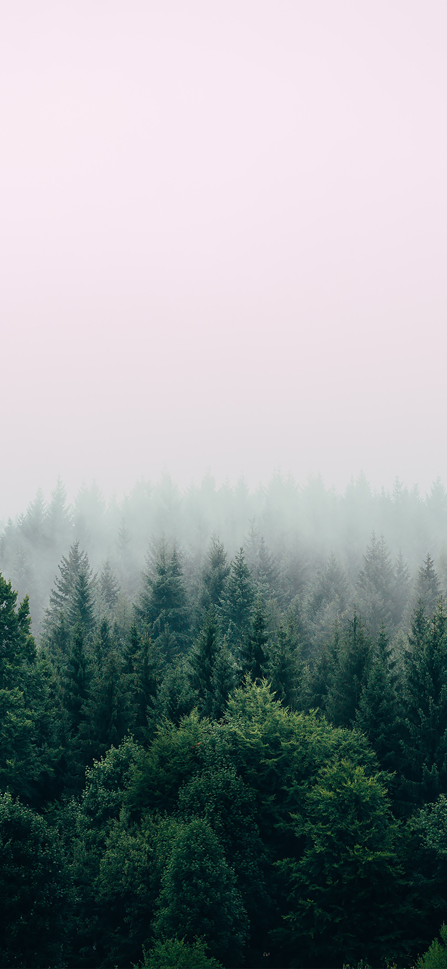 风景壁纸春,春天有百花秋有凉风冬有雪壁纸