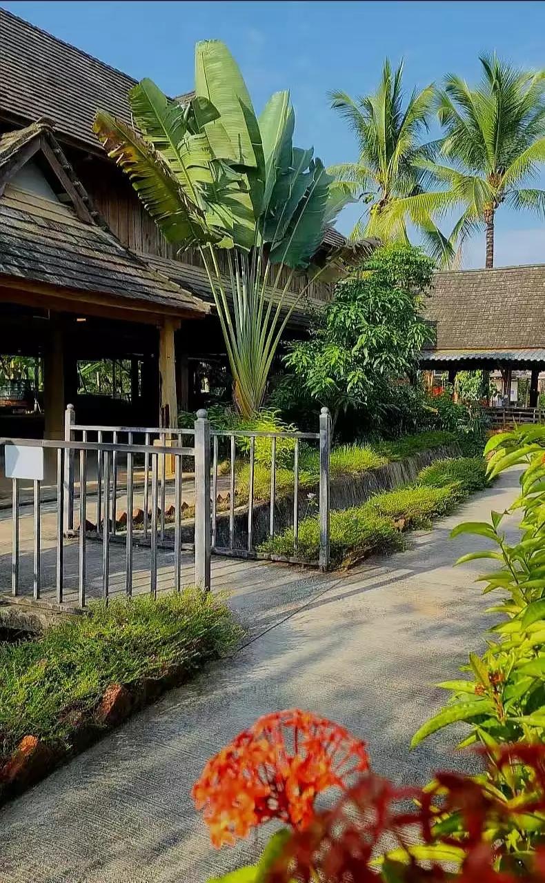 屡败屡战而又屡战屡败,屡败屡战亦英雄