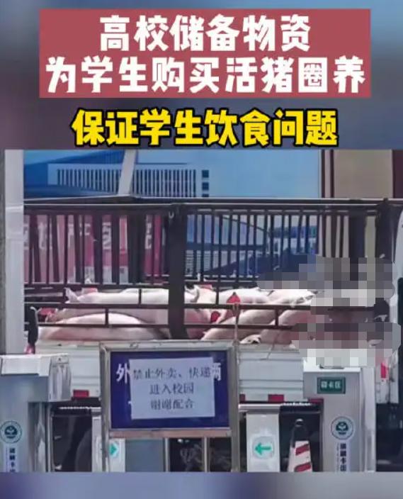 学校成“养猪场”？吉林一高校为保障隔离学生饮食，举动让人欣慰
