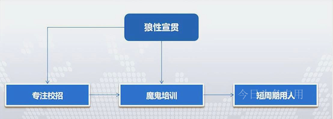 华为销售渠道的管理模式,华为的四种营销方式