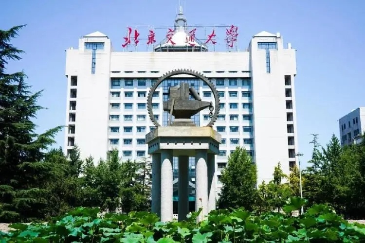 山东省2023艺考专业项目,山东艺术生报考的学校有哪些专业