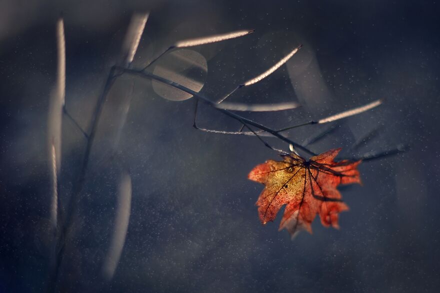 大自然的美景秋天摄影照片,美丽的大自然春夏秋冬图片大全