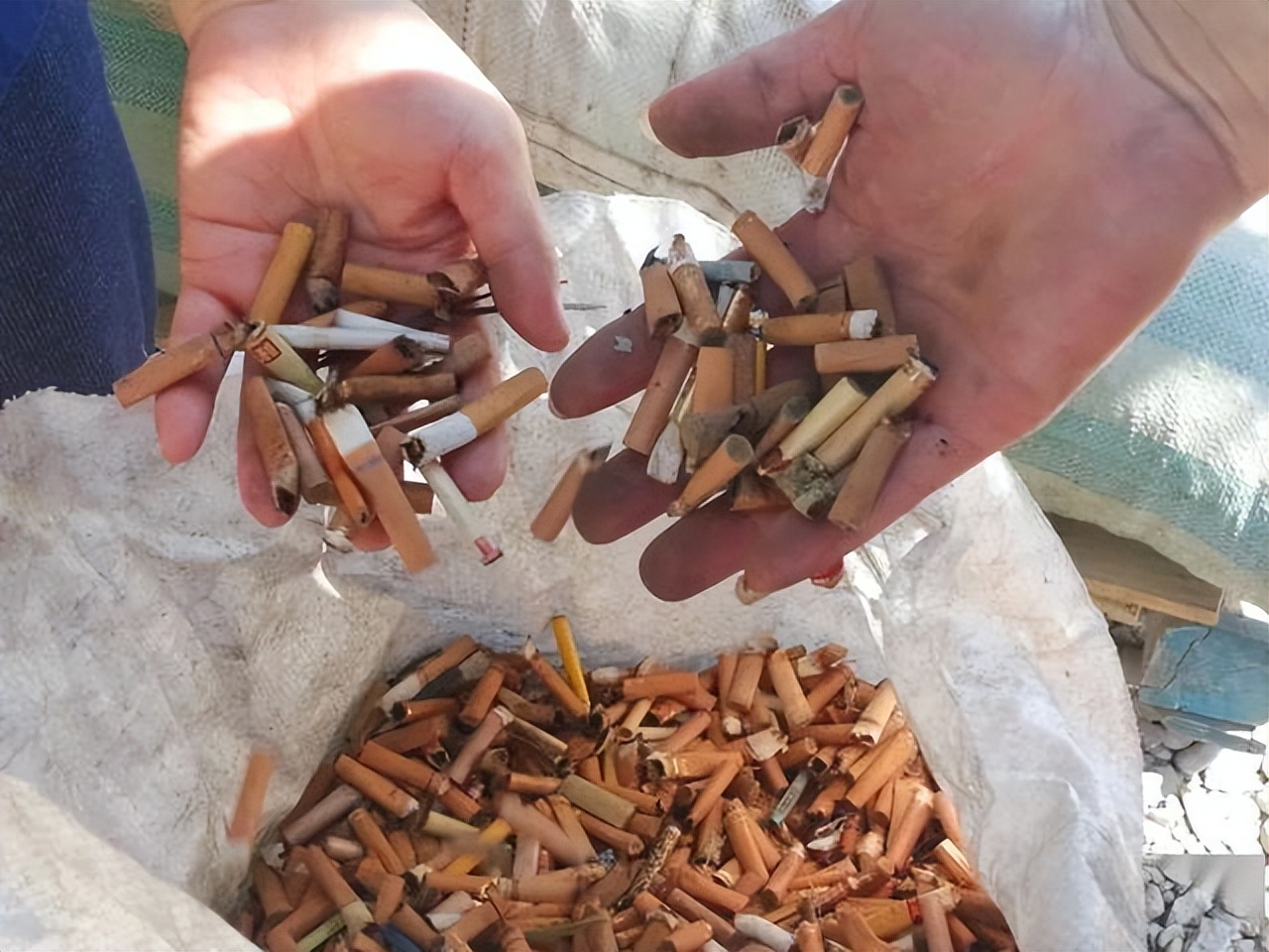 日本收烟头干啥,日本回收烟头