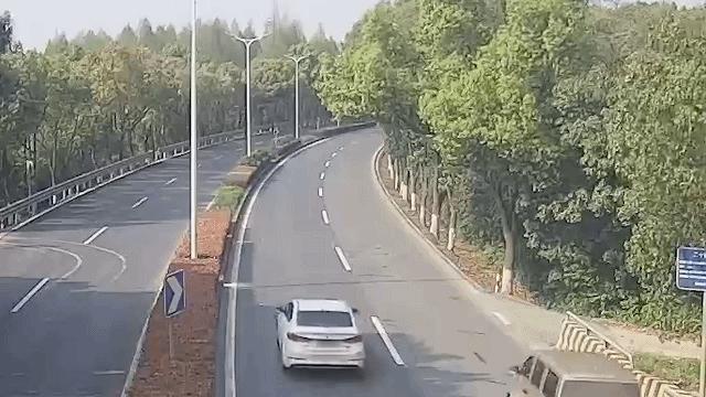 加工茶叶太累,搞茶叶技巧