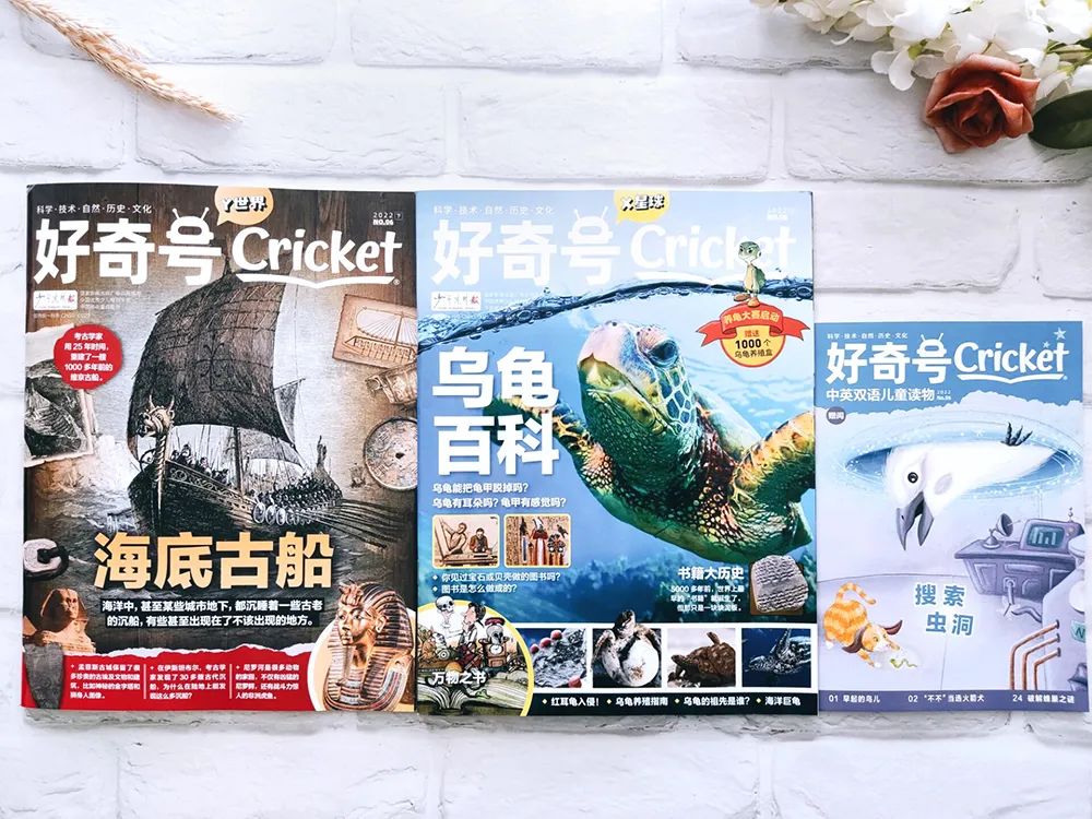 小学英语科普汇总,一张表搞定小学英语