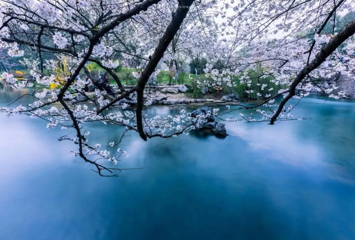 早春最好的十首诗,早春诗词十首