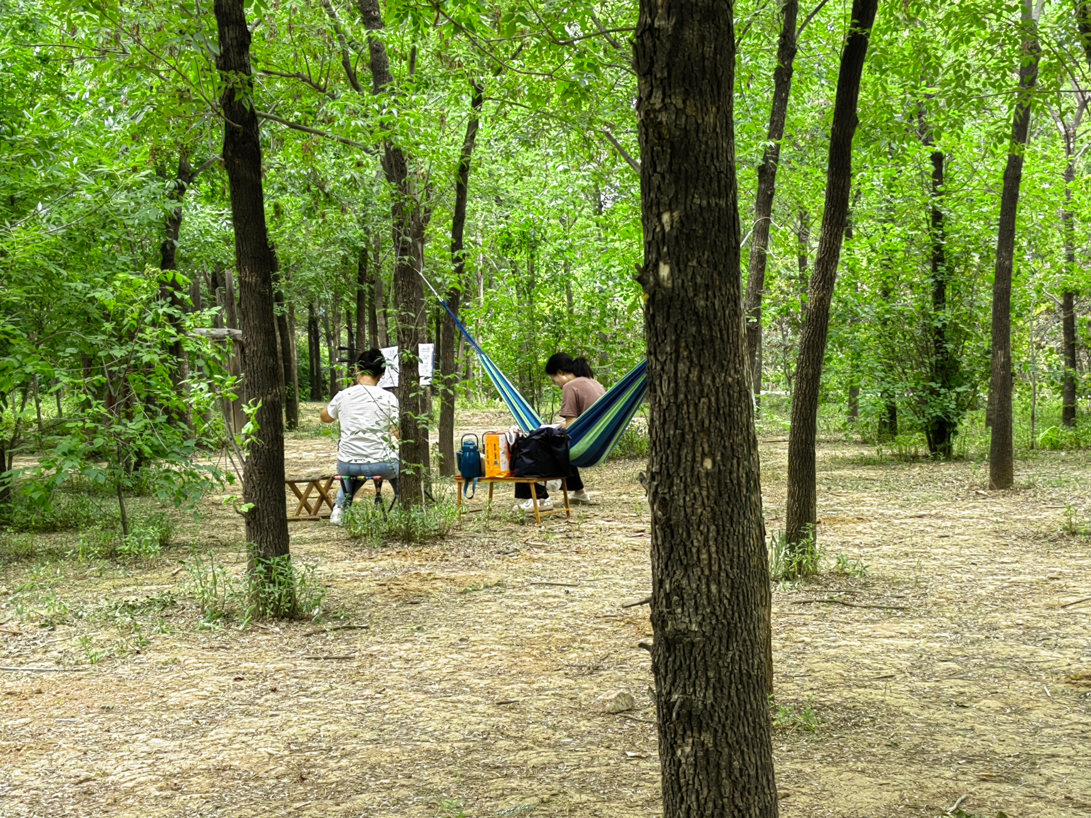 端午节陪爸爸妈妈游玩,端午节假期家人一起游玩聚餐