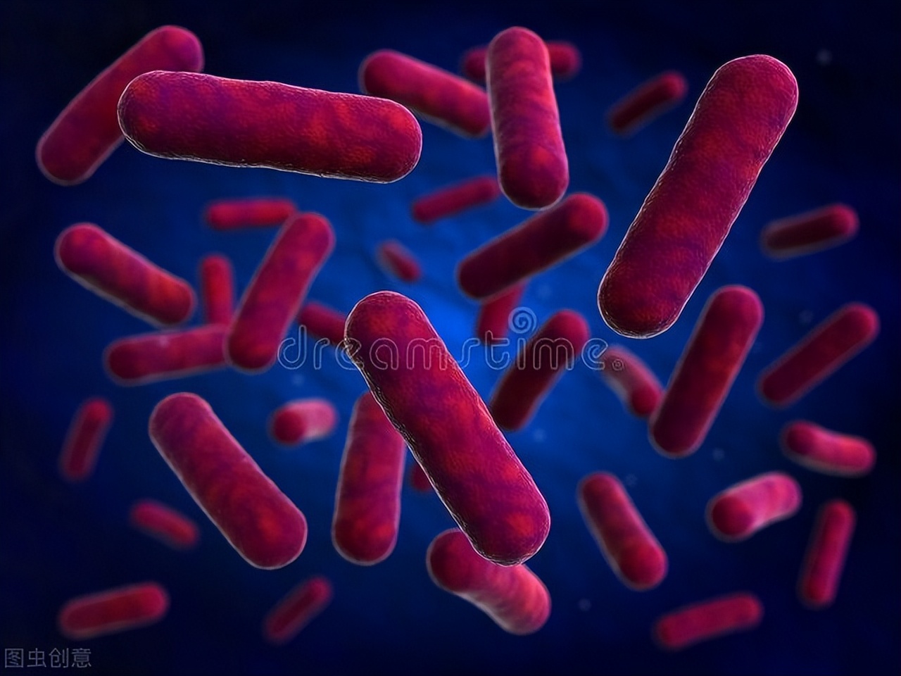 病毒与细菌有什么区别呢,病毒与细菌有什么区别