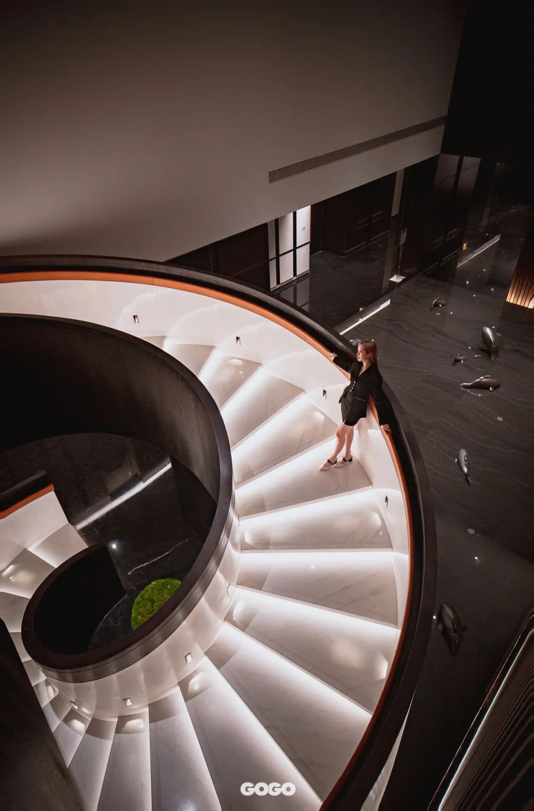 澶忔棩钘忓尶灏忚,澶忔棩钘忓尶