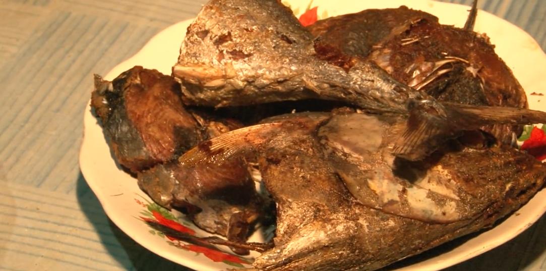 渔民捕获虎鲨,真实渔民钓到的虎鲨