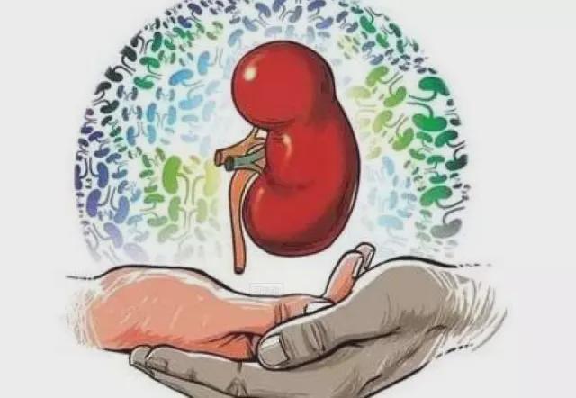 慢性肾衰竭严重损害肾功能，怎样治疗？专家建议：从以下几点着手