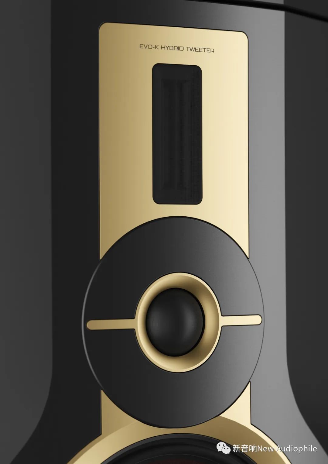 达尼旗舰音箱君临,达尼君临天下价格