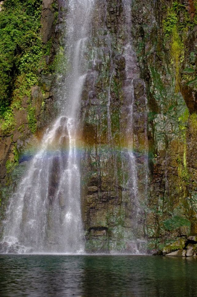 永泰青梅花开全部视频,永泰青梅丰收季节