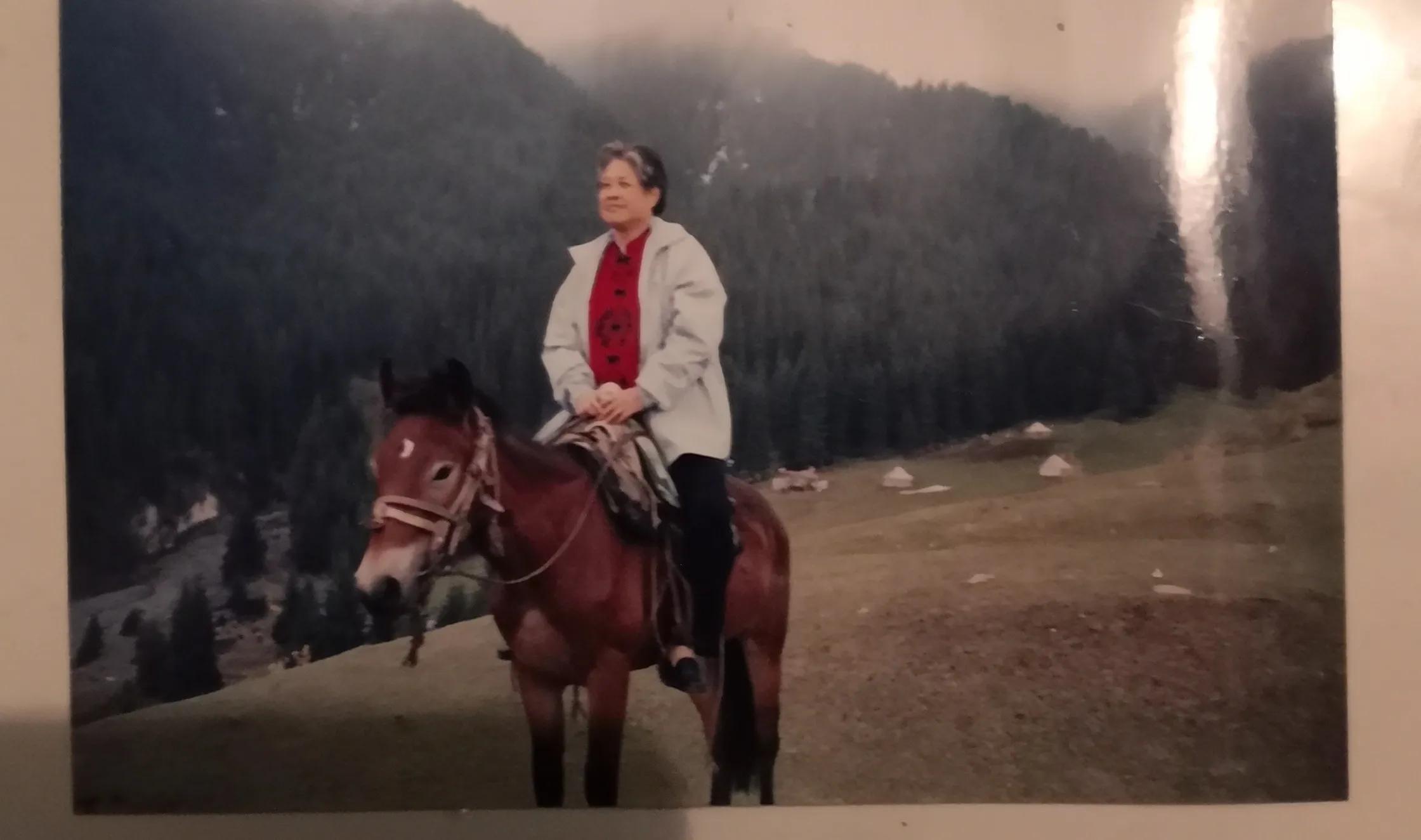 杜猛金融街电讯视频,上海金融街电讯杜猛