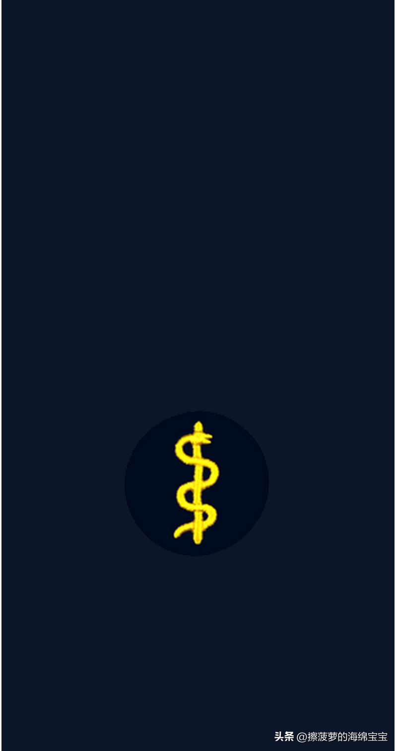 二战德国国防军医疗兵军衔标志