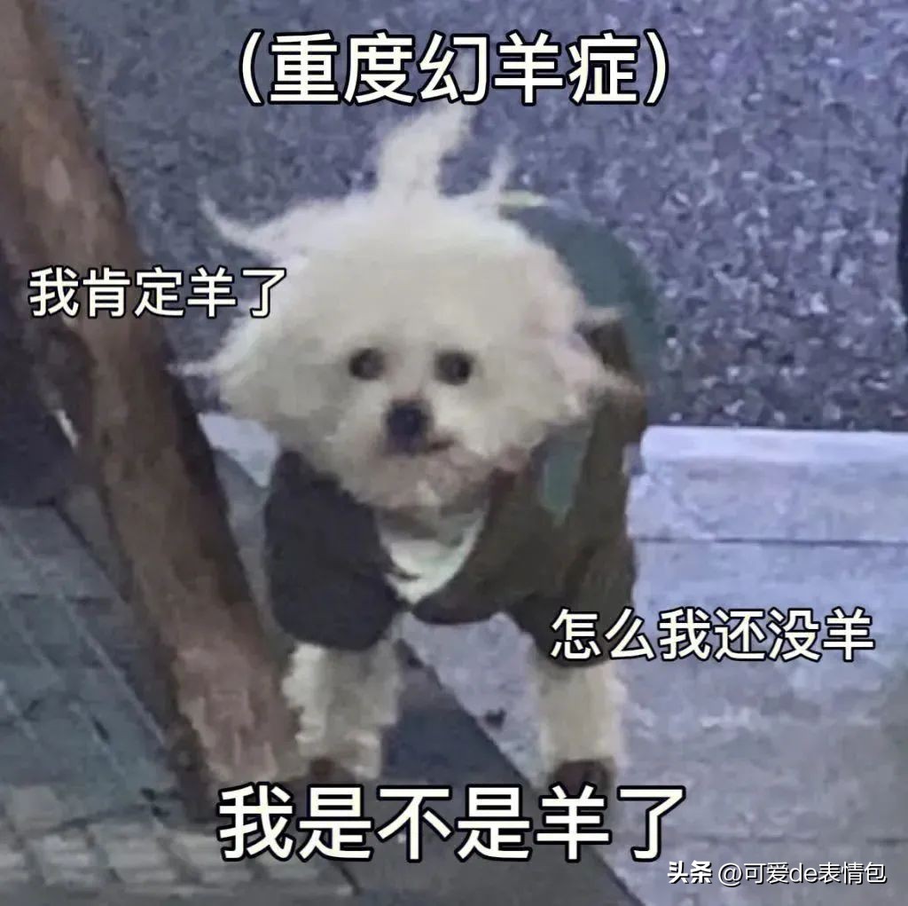 抖音黑人老嫂子搞笑表情包合集