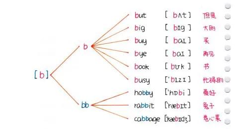 关于字母b的单词,学习字母b开头的英文单词