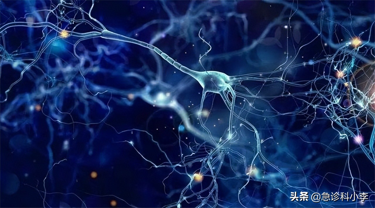 脑梗病人吃叶酸和b12b6起什么作用,叶酸配维生素b12预防脑梗怎样服用