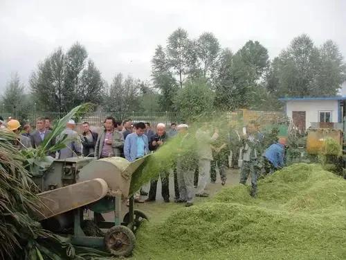 小型加工厂项目农村3万元左右,投资4-5万元的农村小加工作坊