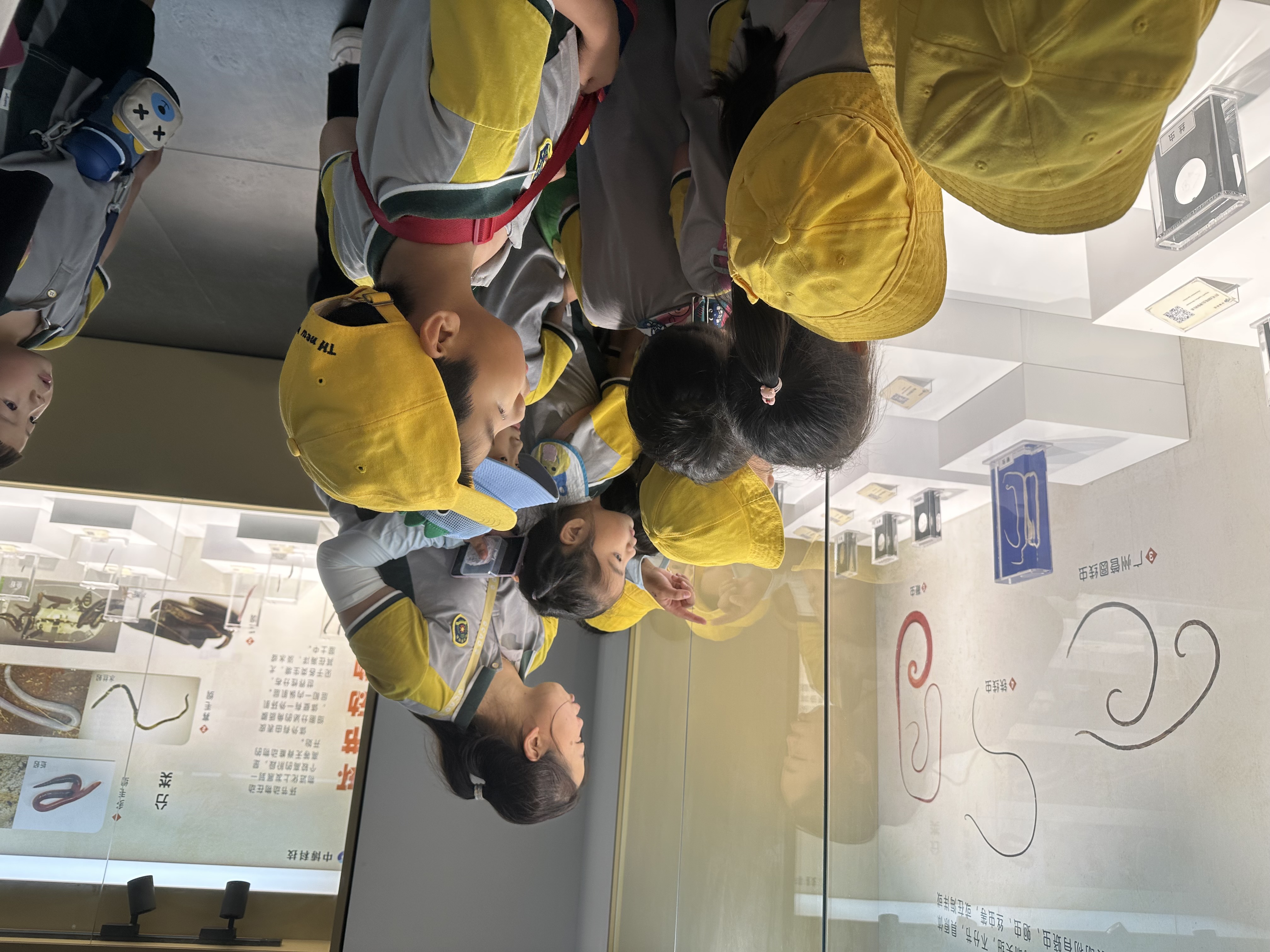 郑州夏天避暑游玩好地方,郑州夏天避暑游玩好去处