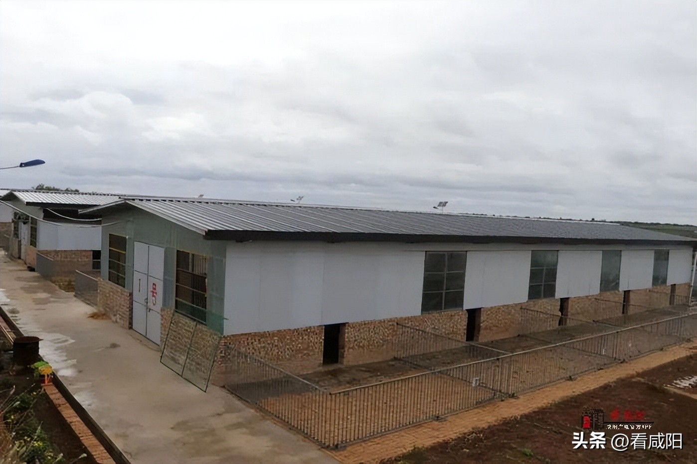 奶山羊养殖致富,奶山羊致富成了新选择