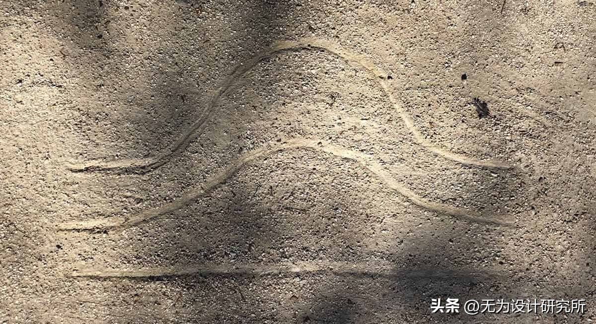 运动品牌服装设计标志,自行车运动服装设计