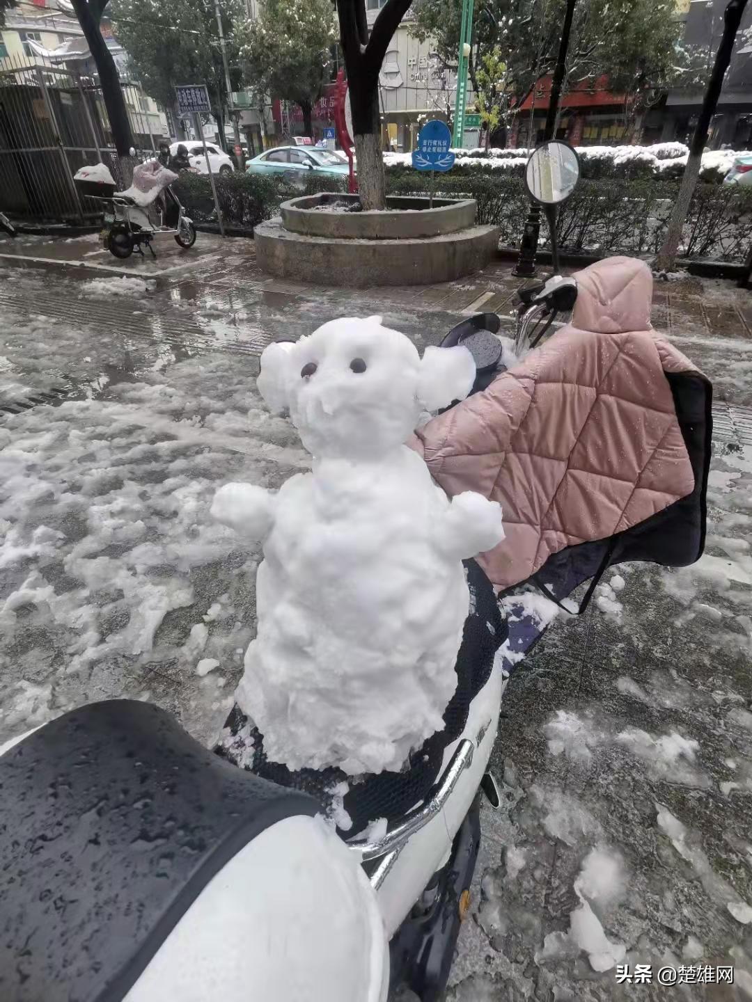 堆雪人大赛现场,楚雄花式雪人