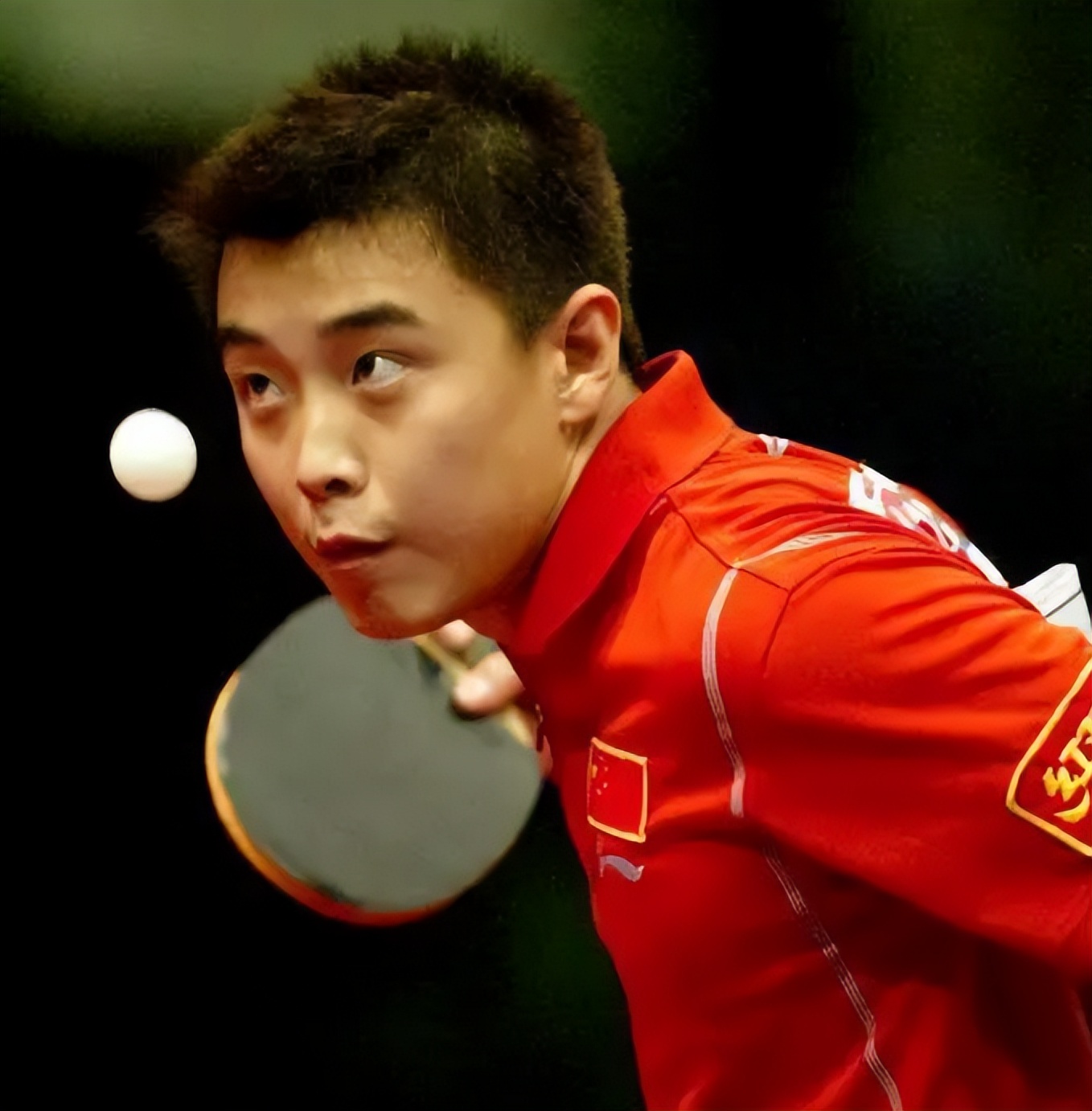 乒乓王皓闫博雅,闫博雅王皓二胎