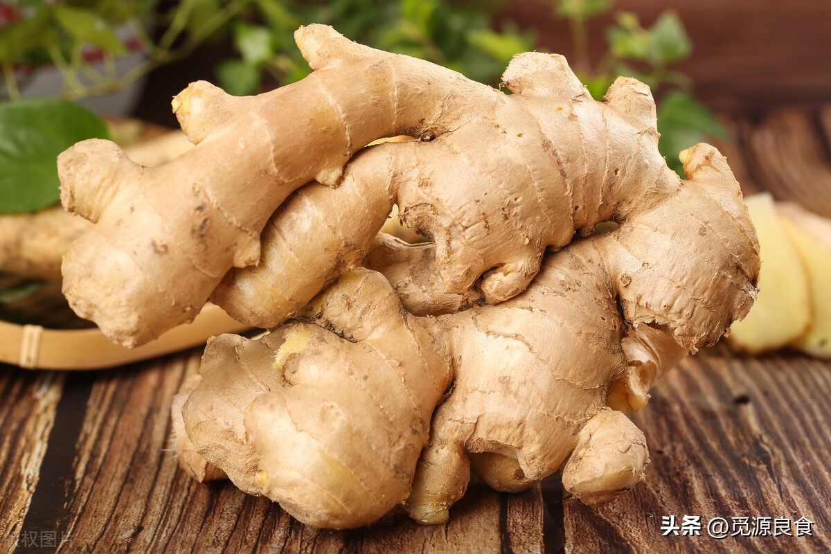 青霉素主要存在于哪些日常食物中,含天然青霉素的食物都有哪些