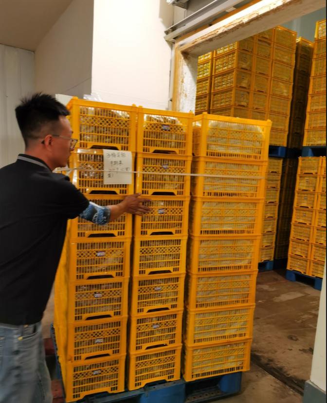 西梅冷藏保鲜方法,西梅保鲜及储存方法