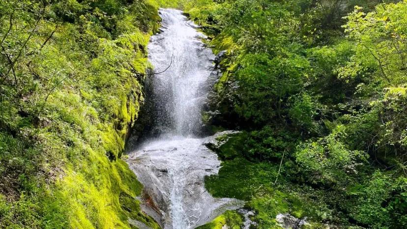 西安祥峪森林公园雪景,西安夏季避暑一日游好去处免费