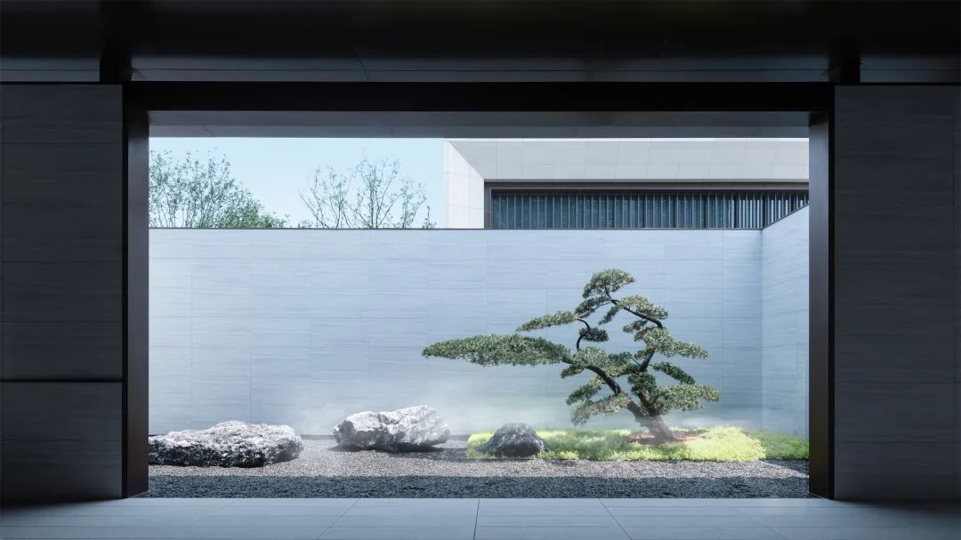 松树的文化内涵和精神品质,松树给人什么样的美感