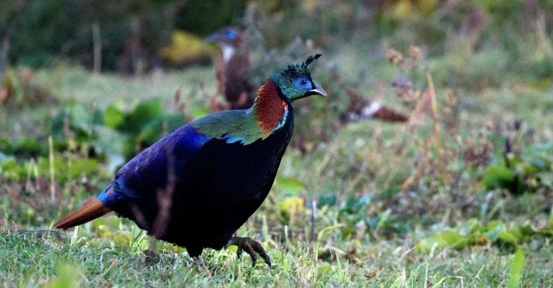 五一小众宝藏旅行地西南地区,古香古色小众宝藏旅行地