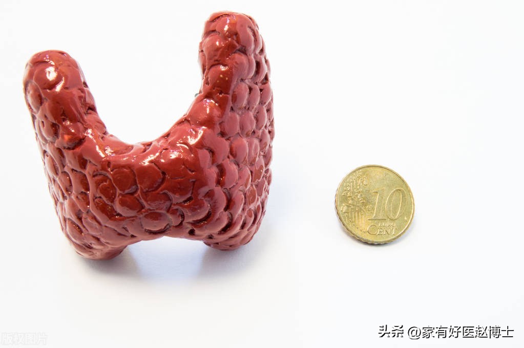 甲状腺结节诊治指南再更新,风险高低怎么看?哪些结节要穿刺?