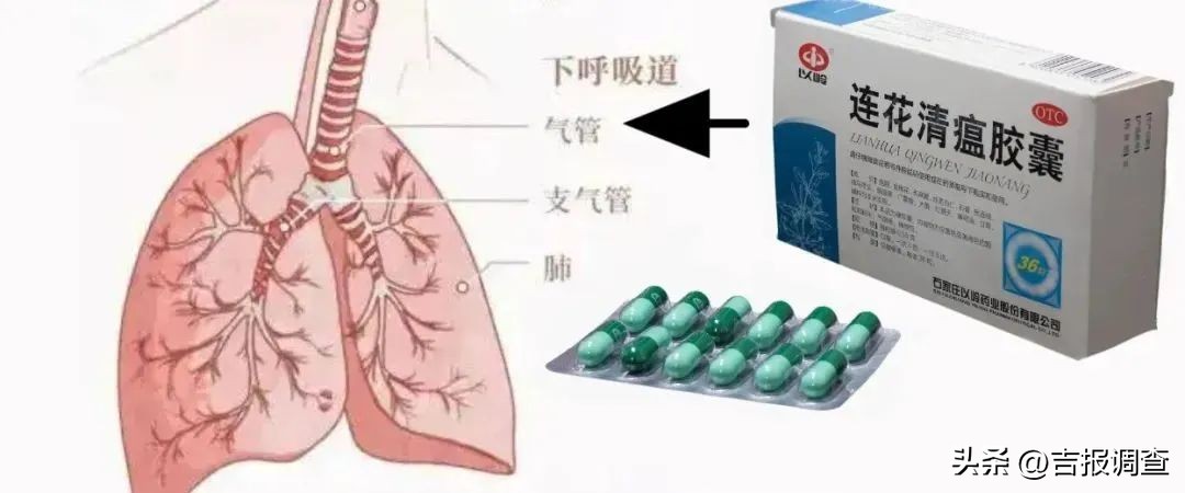 中医新冠对症治疗指南解读,新冠病毒中医辨证治疗方法