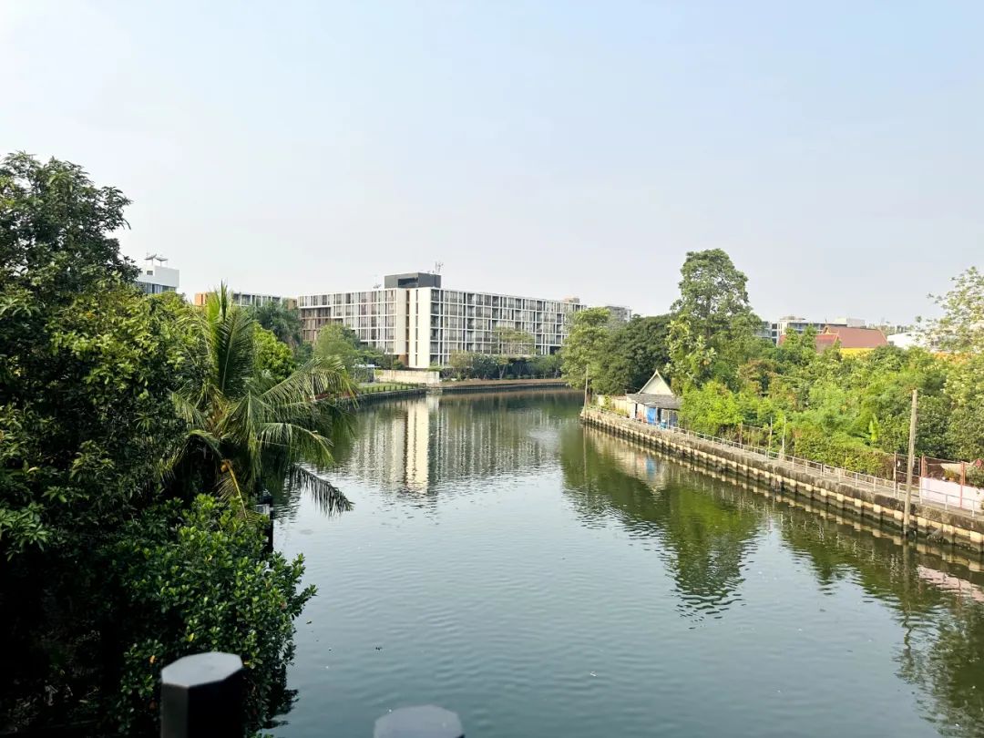 在泰国买房的人都踩过哪些坑？泰国养老置业避雷！建议收藏