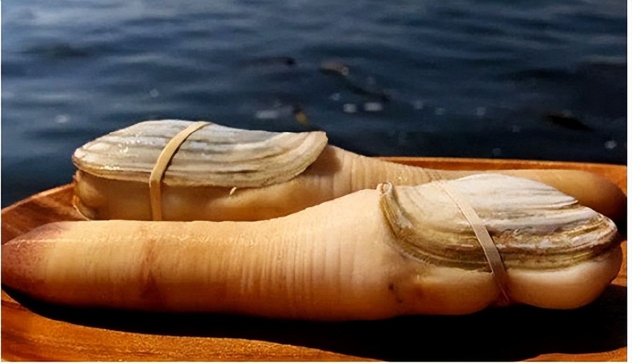 海鲜顶级食材,全球十大最贵海鲜