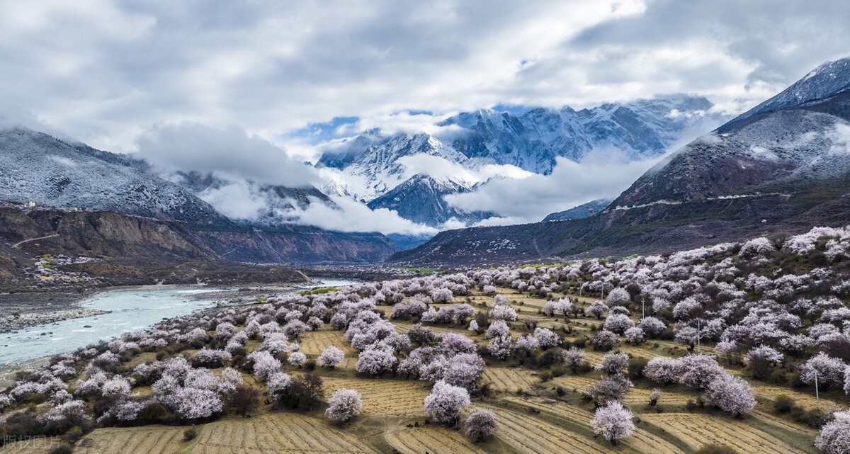 处女座和巨蟹座感情运势,塔罗牌巨蟹座2月16至22日运势