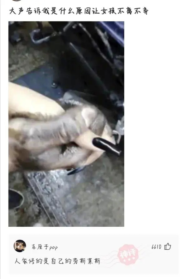 为什么鳄龟长大了背甲会变,鳄龟为什么养的背甲很大