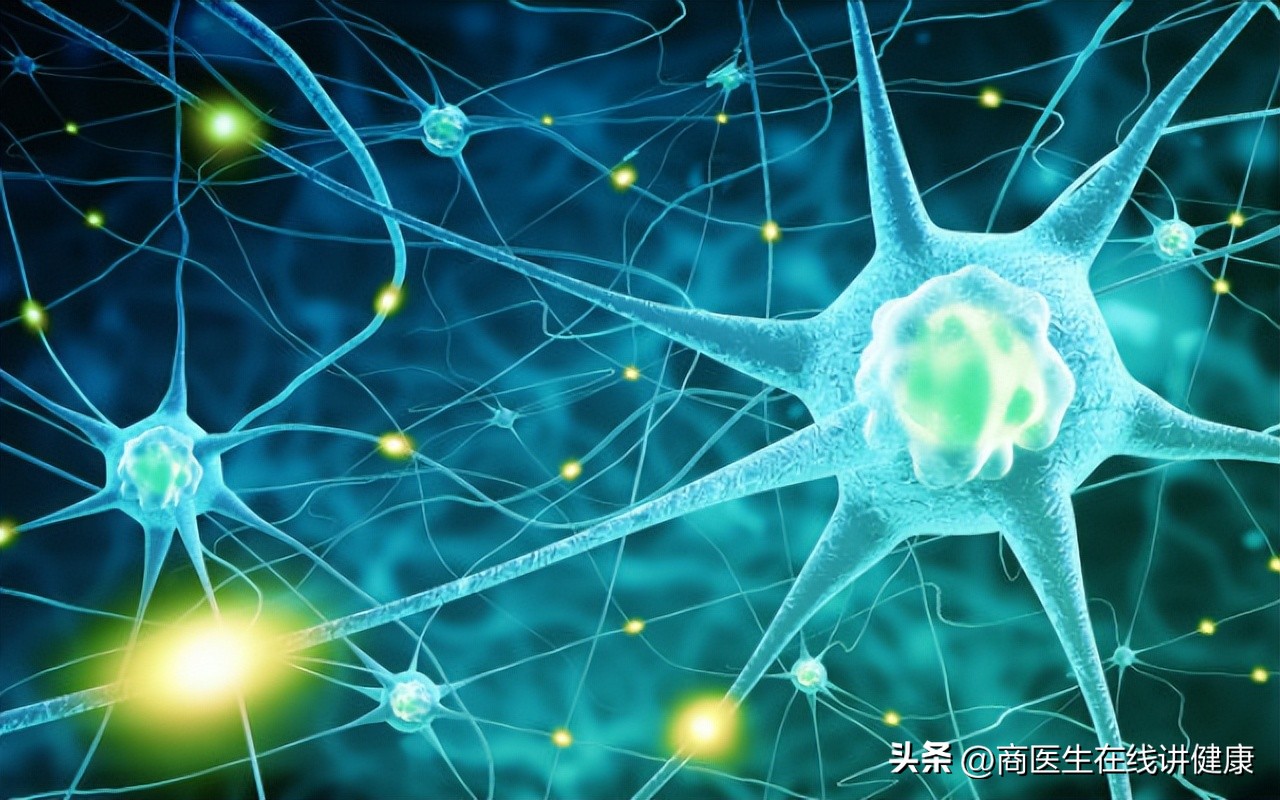 一饿就心慌无力手抖,一饿就会手抖心慌无力是气虚吗