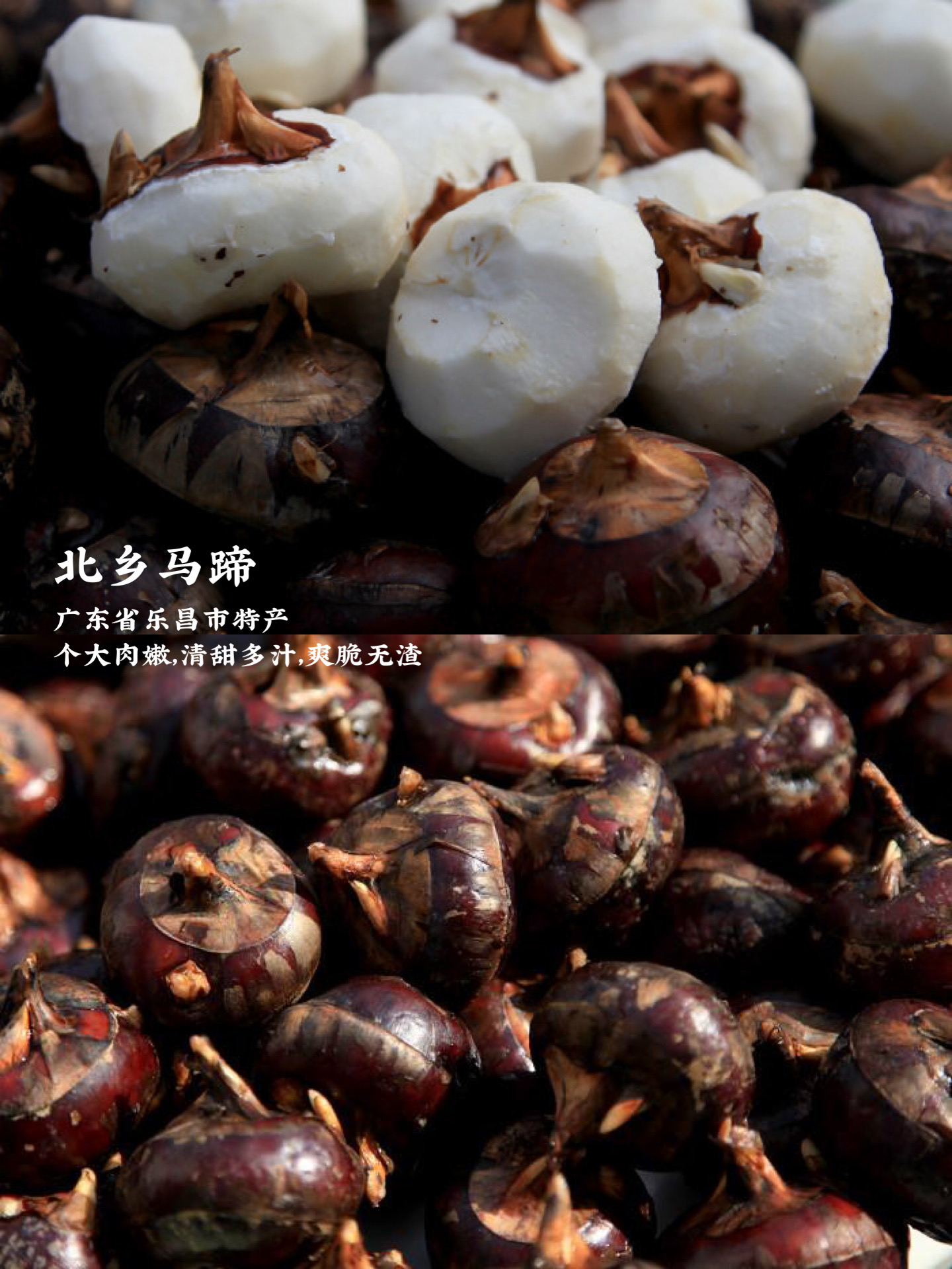 12月现在季节吃什么水果,12月什么水果最好吃最便宜